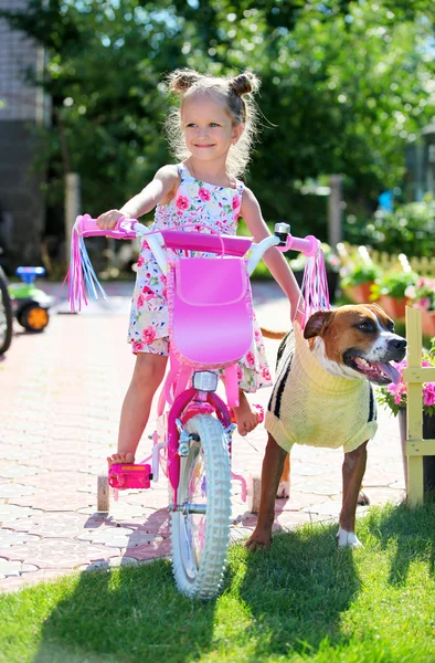 Nettes vierjähriges Mädchen auf einem Fahrrad mit Staffordshire Terrier — Stockfoto