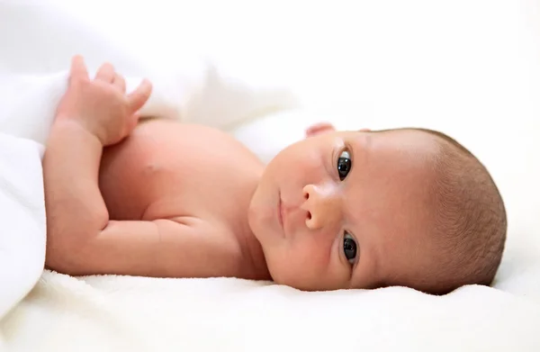 Portrait of a cute one-week old baby boy — Stock Photo, Image