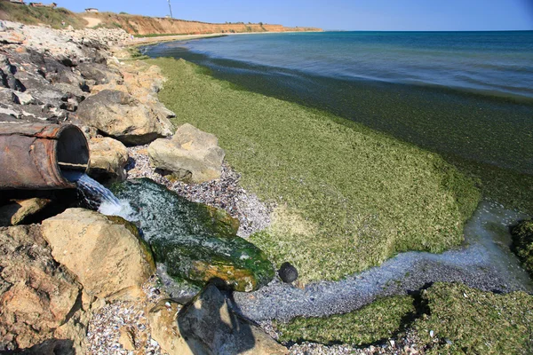 Rozładowanie rur odwadniających zanieczyszczonych odpadów do morza — Zdjęcie stockowe
