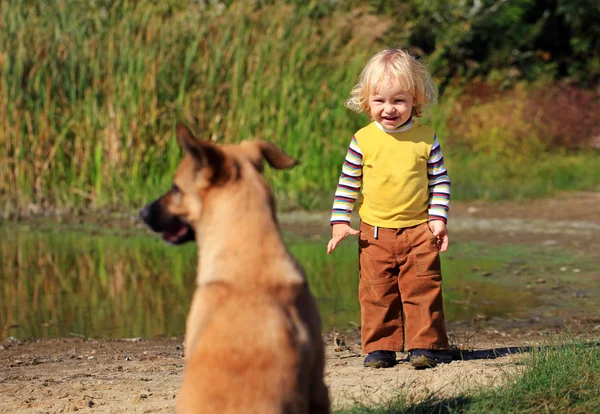 Little boy looking at a dog outdoors — Stock Photo, Image