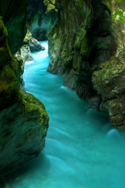 Tolminka alpine river in Slovenia, central europe clipart