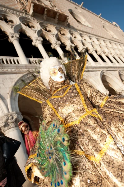 stock image Venetian mask