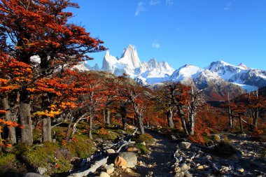 Beautiful nature landscape with Mt. Fitz Roy as seen in Los Glaciares National Park, Patagonia, Argentina clipart