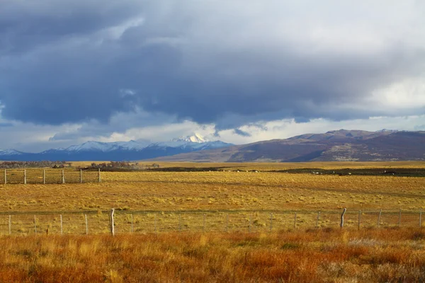 stock image Official building in Punta Arenas with the Strait of Magellan