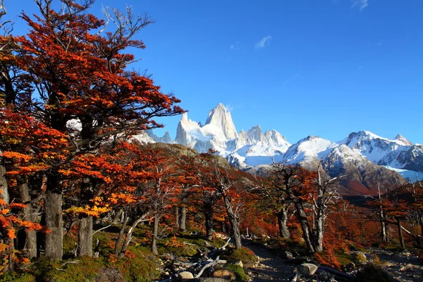Bela paisagem natural com Mt. Fitz Roy como visto no Parque Nacional Los Glaciares, Patagônia, Argentina — Fotografia de Stock