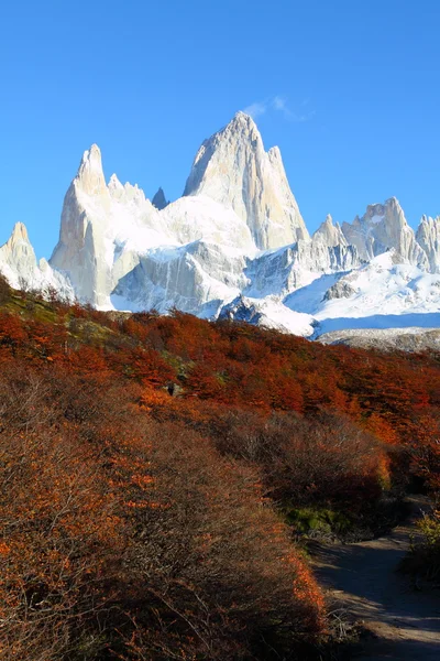 Nádherná příroda s mt. fitz roy v los glaciares national park, Patagonie, argentina — Stock fotografie