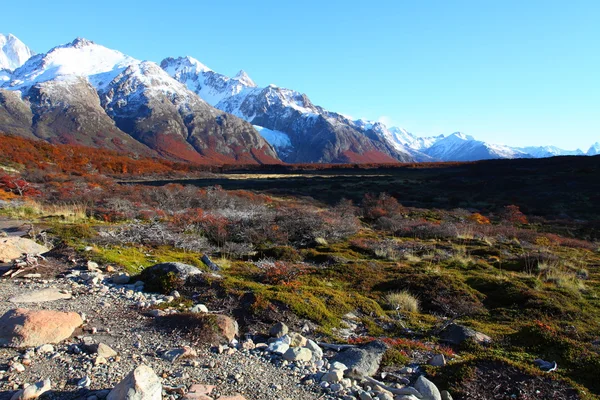 Güzel doğa manzarası ile mt. fitz roy los glaciares Milli Parkı, patagonia, Arjantin görüldüğü gibi — Stok fotoğraf