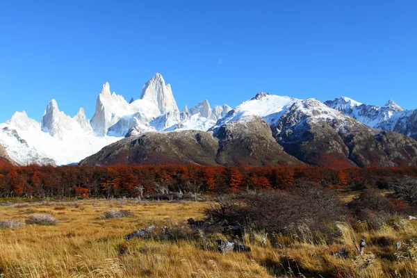 Beau paysage naturel avec Mt. Fitz Roy vu dans le Parc National de Los Glaciares, Patagonie, Argentine — Photo