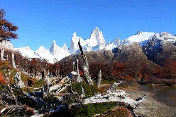 Bela paisagem natural com Mt. Fitz Roy como visto no Parque Nacional Los Glaciares, Patagônia, Argentina — Fotografia de Stock
