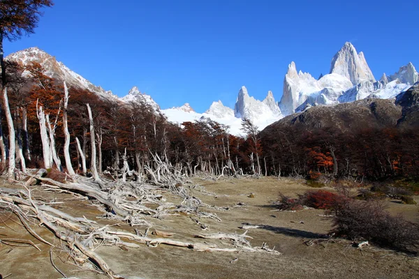Gyönyörű természeti táj a Mt. Fitz Roy, mint látható a Los Glaciares Nemzeti Park, Patagónia, Argentína — Stock Fotó