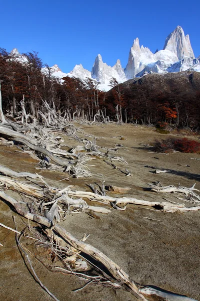 Piękna przyroda z mt. fitz roy, jak widać w los glaciares national park, patagonia, Argentyna — Zdjęcie stockowe