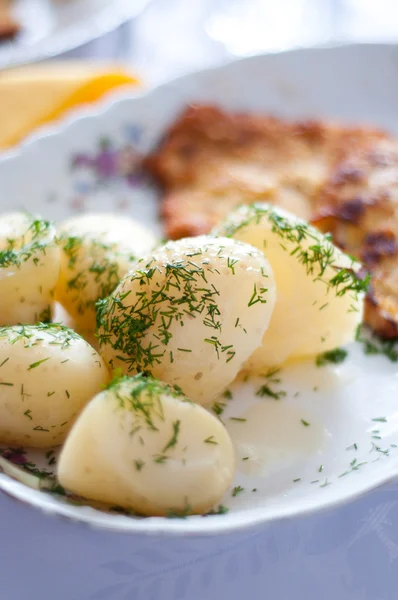 Patata giovane polacca — Foto Stock