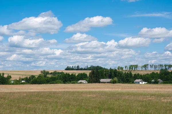 Polish summer country — Stock Photo, Image