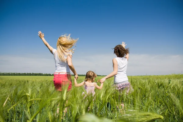 Семьи веселятся в поле — стоковое фото