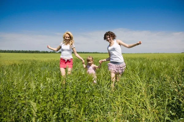 Families have fun in the field — Stok fotoğraf