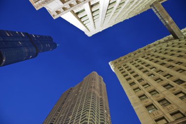 Trump Tower and Wrigley Building clipart