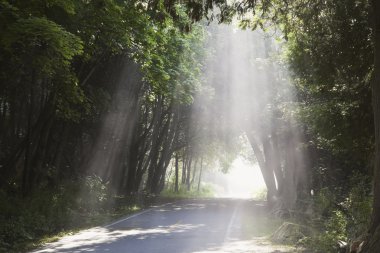 mackinac Adası çevresinde bisiklet yolu