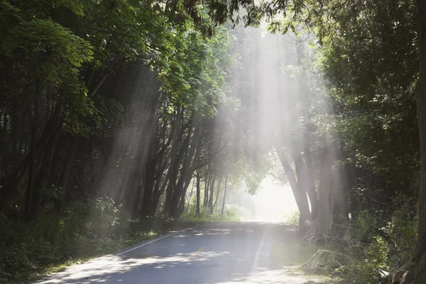 stock image Bike route around Mackinac Island