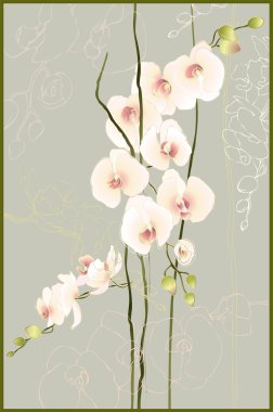 Greeting card with orchid. Illustration orhid. clipart