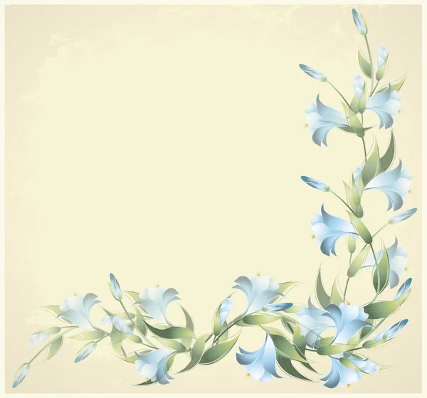Tarjeta de felicitación con un lirio. Ilustración Lily. Marco decorativo con un lirio . — Archivo Imágenes Vectoriales
