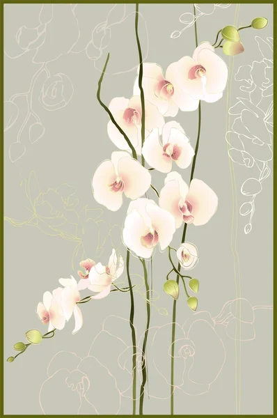 Wenskaart met orchidee. afbeelding orhid. — Stockvector