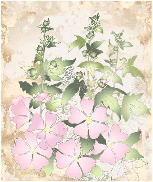 Malva di fiori rosa con foglie verdi. Biglietto di auguri con malva . — Vettoriale Stock