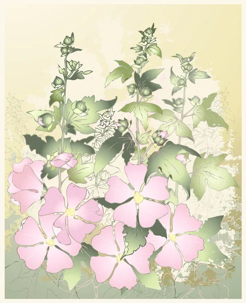 Różowe kwiaty mallow z zielonych liści. kartkę z życzeniami z mallow. — Wektor stockowy