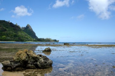 haena beach, north shore, kauai reef sabah düşük tide maruz