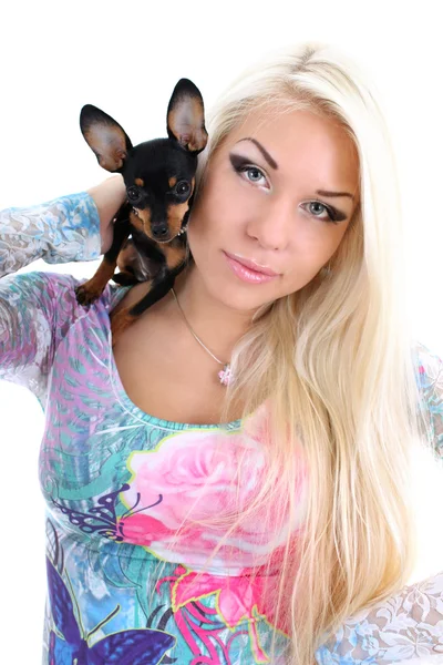 Young woman with toy-terrier on her shoulder over white — Stock Photo, Image