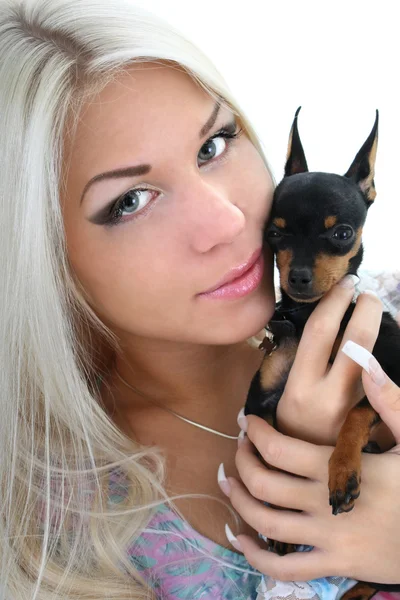Close-up portrait of young woman with toy-terrier over white — Stock Photo, Image