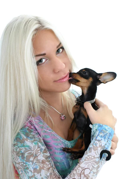 Close-up portrait of young woman with toy-terrier over white — Stock Photo, Image