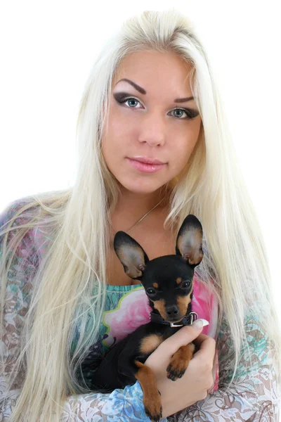 Jovem mulher com cachorrinho nas mãos dela sobre branco — Fotografia de Stock