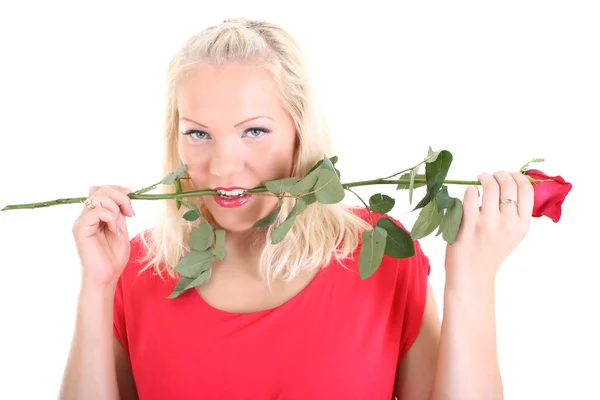 Lady in red with red rose in her teeth — Stock Photo, Image