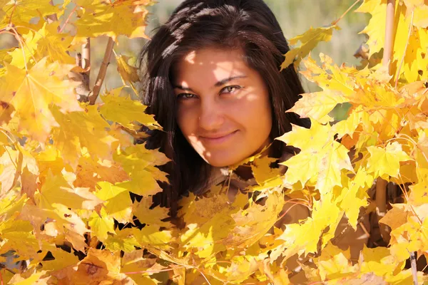 Arany maple gyönyörű nő — Stock Fotó