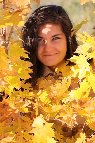Beautiful woman with yellow maple — Stock Photo, Image