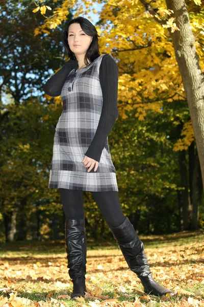 Atractiva mujer posando en el parque otoño — Foto de Stock