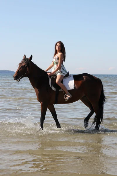 Femme avec gros cheval brun — Photo