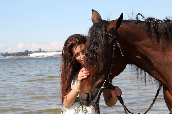 Chica con caballo marrón —  Fotos de Stock