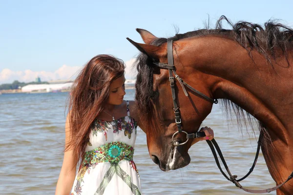 Girl with brown horse — Stock Photo, Image