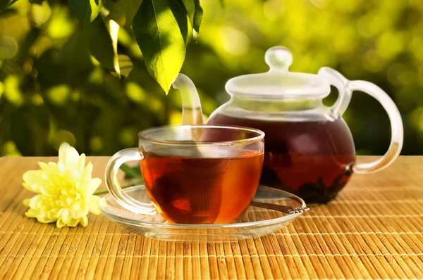 Dup, teáskanna és tea — Stock Fotó