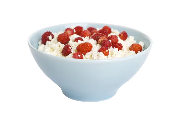 Cottage cheese with wild strawberry — Stock Photo, Image