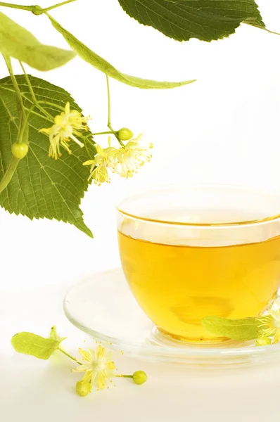 Cup of tea with linden flowers — Stock Photo, Image