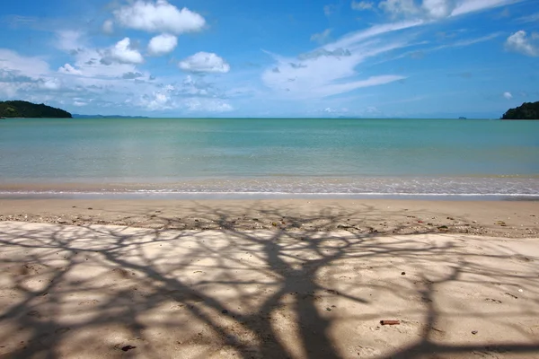 影の木とビーチ — ストック写真