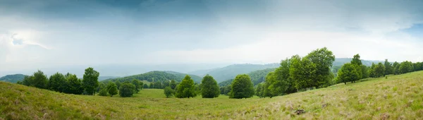 stock image Summer mountain landscape