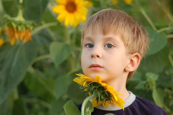 Träumender Junge mit Sonnenblume — Stockfoto