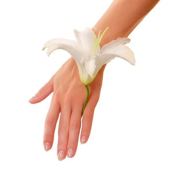Main féminine avec fleur de lis — Photo