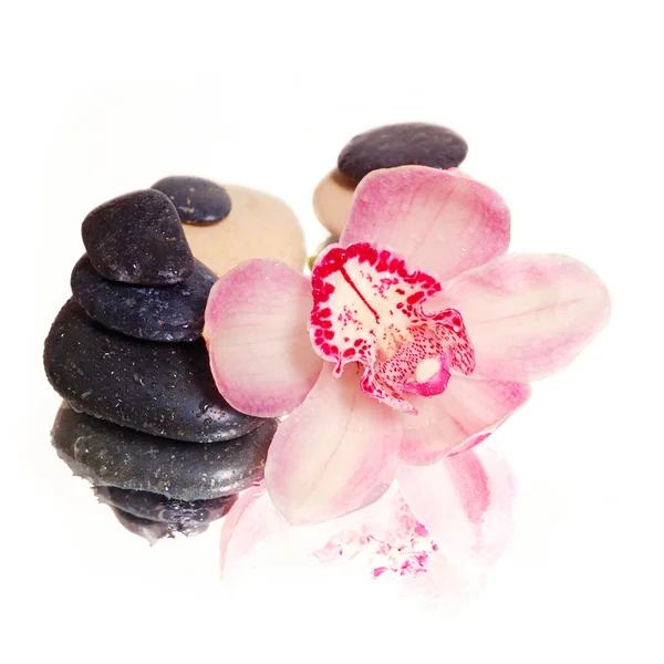 Spa stones with pink orchid — Stock Photo, Image