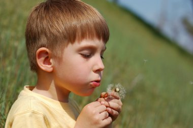 Çocuk darbe bahar çayır üzerinde karahindiba