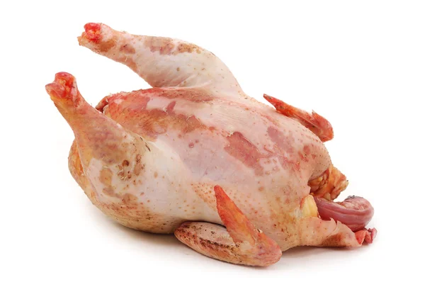 Chicken raw fresh — Stock Photo, Image