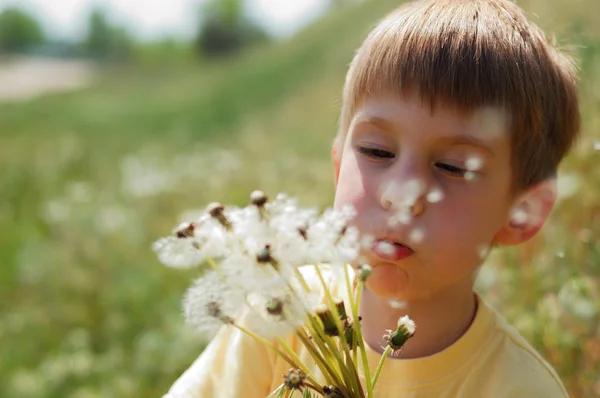 Мальчик дует одуванчик на весеннем лугу — стоковое фото